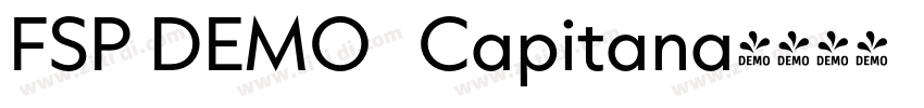 FSP DEMO   Capitana字体转换